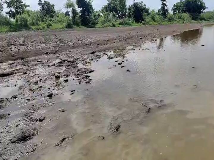 मुसळधार कोसळलेल्या पावसाने सावरगाव, गोळेगाव , ब्राह्मनवाडा, शिरजगाव,पांढरी, पिंपळगाव काळे शिवारातील जवळपास 114 हेक्टर जमिनीवरील पिके पूर्णतः उध्वस्त झाल्याचा अंदाज आहे.