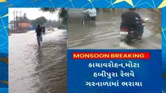 Vadodara Rain : વડોદરાના કરજણ અને ડભોઇ તાલુકામાં જળબંબાકારની સ્થિતિ