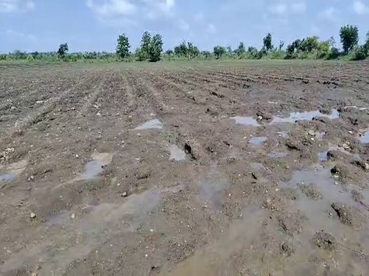 साखळी नदीला जोडणारा नाला फुटल्याने त्याचे पाणी शेतात शिरले अन् पाहता पाहता सारे पीक वाहून गेले. यात या शेतकऱ्यांचे बी, बियाणे, खते, मजुरी असे लाखो रुपयांचे नुकसान तर झालेच पण माती खरडून गेल्याने जमीन पडीत पडणार आहे.