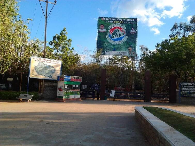 Hyderabad Man Booked For Harassing Filmmaker During Morning Walk At KBR Park Banjara Hills Hyderabad: Man Booked For Harassing Filmmaker During Morning Walk In Banjara Hills