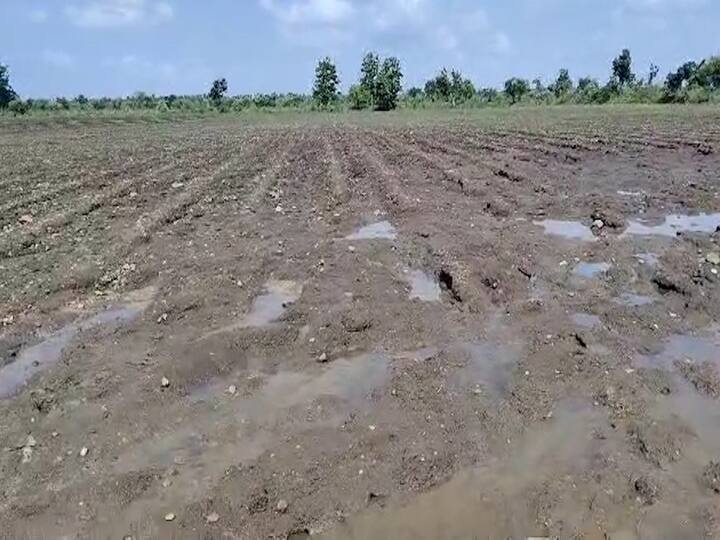 सावरगाव येथील शेतकरी प्रवीण भोयर यांच्या चार भावांच्या कुटुंबात 28 एकर शेती आहे. यातील जवळपास वीस एकर शेतातील उभे पीक उध्वस्त झाले आहे. त्यांच्या शेतातील जवळपास चार एकर जमीन पार खरडून गेली आहे.