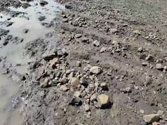 यवतमाळ: शेतकऱ्यांवर अस्मानी संकट, ढगफुटी सदृश्य पावसाने बळीराजाचे स्वप्न गेले वाहून; पाहा फोटो