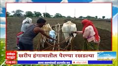 Saat Barachya Batmya 712 : राज्यभरात आतापर्यंत 47 टक्के पेरण्या 13 जुलै 2023