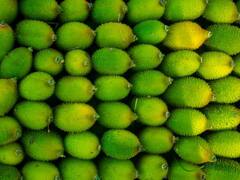 Kantola: सेहत का खजाना है ये हरे रंग की सब्जी, कई रोगों की कर सकती है छुट्टी