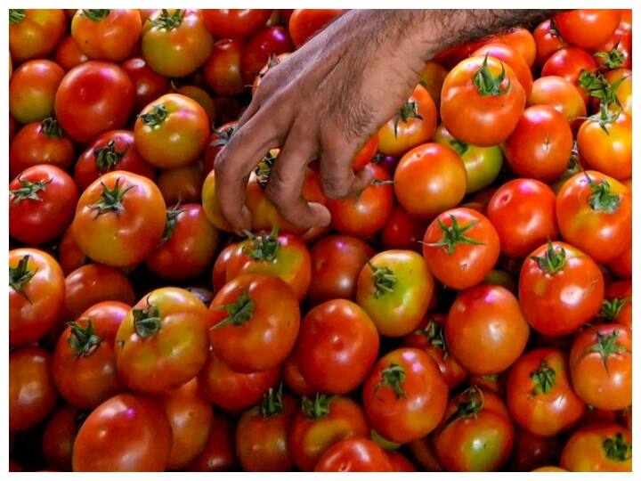 Tomato Price: दिल्ली-NCR में कल से 'मोबाइल वैन' में बिकेगा सस्ता टमाटर, जानें- कितना होगा रेट? Cooperative NCCF to sell tomatoes via mobile vans in Delhi-NCR at discounted rate of Rs 90/kg from Friday Tomato Price: दिल्ली-NCR में कल से 'मोबाइल वैन' में बिकेगा सस्ता टमाटर, जानें- कितना होगा रेट?