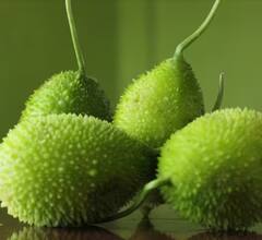 Kantola: ਸਿਹਤ ਲਈ ਇਹ ਹਰੀ ਸਬਜ਼ੀ ਕਿਸੇ ਖਜ਼ਾਨਾ ਤੋਂ ਘੱਟ ਨਹੀਂ...ਇਸ ਦੇ ਸੇਵਨ ਨਾਲ ਦੂਰ ਹੁੰਦੀਆਂ ਕਈ ਬਿਮਾਰੀਆਂ