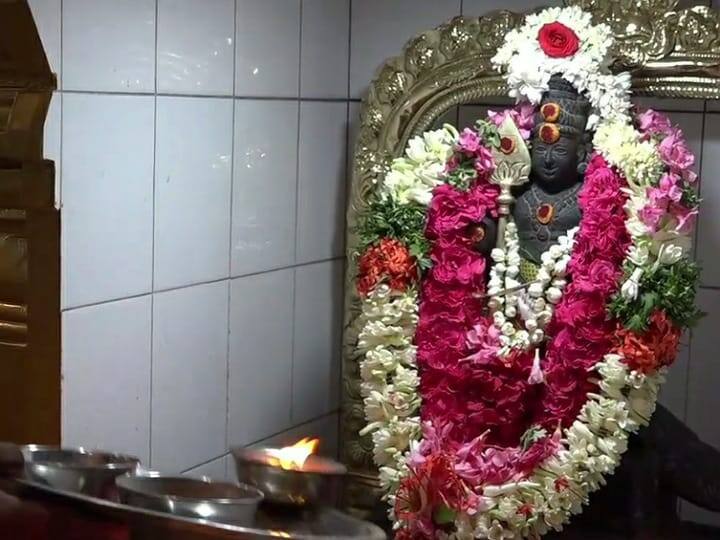 krithigai: Special abhishekam to Balamurugan of Karur Karpaka Vinayagar Temple TNN கிருத்திகை: கரூர் கற்பக விநாயகர் ஆலய பாலமுருகனுக்கு சிறப்பு அபிஷேகம்