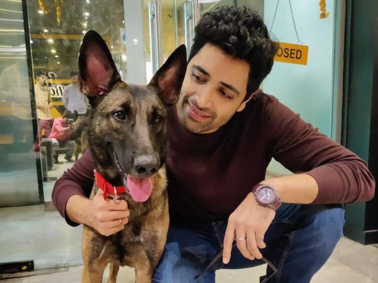 HIT 2 Dog Sasha aka Max Passes Away Due to Tick Fever Adavi Sesh: ‘హిట్ 2’ మాక్స్ మృతి - ఎమోషనల్ పోస్ట్ చేసిన హీరో అడవి శేష్