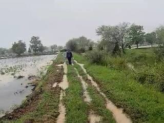 गोसीखुर्द धरणाच्या वितरिकेनं शेतकरी संकटात; अर्धवट आणि तांत्रिक दोषरहित बांधकामाचा फटका, शेतपिकं पाण्याखाली आल्यानं आर्थिक नुकसान