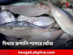 দিঘা মোহনায় ২৫ টন ইলিশ! কত দামে বিকোল?