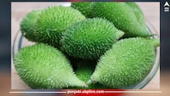 Kantola: ਸਿਹਤ ਲਈ ਇਹ ਹਰੀ ਸਬਜ਼ੀ ਕਿਸੇ ਖਜ਼ਾਨਾ ਤੋਂ ਘੱਟ ਨਹੀਂ...ਇਸ ਦੇ ਸੇਵਨ ਨਾਲ ਦੂਰ ਹੁੰਦੀਆਂ ਕਈ ਬਿਮਾਰੀਆਂ