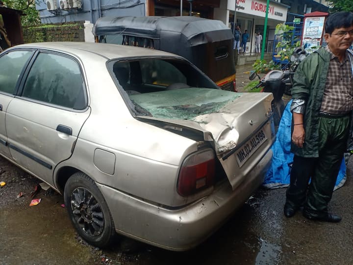 या साऊंड बॅरियर पोल पुलाखालील रस्त्यालगत पार्क केलेल्या चारचाकी वाहनावर पडला.