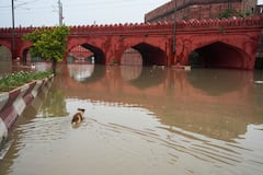 Yamuna Flooding:তলিয়ে গিয়েছে ৩ কিশোর, ফেঁপে ওঠা যমুনায় নাকাল দিল্লি