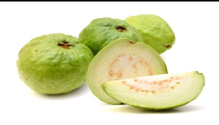 Guava benefits : ਅਮਰੂਦ ਇੱਕ ਅਜਿਹਾ ਫਲ ਹੈ ,ਜਿਸ ਨੂੰ ਲੋਕ ਬੜੇ ਚਾਅ ਨਾਲ ਖਾਂਦੇ ਹਨ। ਇਹ ਖਾਣ 'ਚ ਮਿੱਠਾ ਅਤੇ ਸਵਾਦ (guava flavour and health) ਦੋਵੇਂ ਹੀ ਹੈ, ਇਸ ਦੇ ਨਾਲ ਹੀ