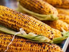 ਮੱਕੀ ਖਾਣ ਨਾਲ ਠੀਕ ਹੋ ਸਕਦੀ ਸ਼ੂਗਰ! ਕਈ ਬਿਮਾਰੀਆਂ ਤੋਂ ਮਿਲੇਗਾ ਛੁਟਕਾਰਾ