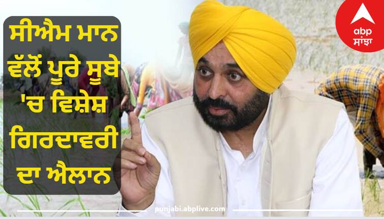 CM Bhagwant Mann announced a special Girdavari in the entire state, paddy will start again as soon as the flood water recedes ਸੀਐਮ ਭਗਵੰਤ ਮਾਨ ਵੱਲੋਂ ਪੂਰੇ ਸੂਬੇ 'ਚ ਵਿਸ਼ੇਸ਼ ਗਿਰਦਾਵਰੀ ਦਾ ਐਲਾਨ, ਹੜ੍ਹਾਂ ਦਾ ਪਾਣੀ ਘਟਦਿਆਂ ਹੀ ਲੱਗੇਗਾ ਮੁੜ ਝੋਨਾ, ਬੀਜਾਂ ਤੇ ਪਨੀਰੀ ਦੀ ਨਹੀਂ ਆਏਗਾ ਕਿੱਲਤ