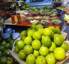 ਅਮਰੂਦ ਖਾਂਦੇ ਹੋ ਤਾਂ ਜਾਣੋ ਇਸ ਦੇ 7 ਸਭ ਤੋਂ ਵੱਡੇ ਫਾਇਦੇ