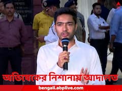 'বিজেপি-র গুন্ডাদের নিরাপত্তা দিচ্ছে হাইকোর্ট,  শুভেন্দুকে বাঁচাচ্ছেন বিচারপতি মান্থা', সরাসরি আক্রমণে অভিষেক