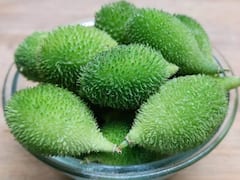 आरोग्यदायी कर्टुले, जाणून घ्या कर्टुल्याचे फायदे