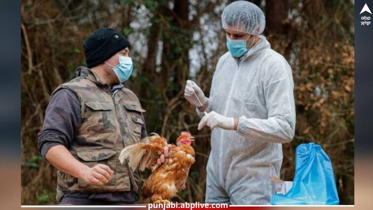 Bird flu: Bird flu can spread easily in humans, WHO issued this big warning Bird flu: ਇਨਸਾਨਾਂ ਵਿੱਚ ਆਸਾਨੀ ਨਾਲ ਫੈਲ ਸਕਦਾ ਬਰਡ ਫਲੂ , WHO ਨੇ ਜਾਰੀ ਕੀਤੀ ਇਹ ਵੱਡੀ ਚੇਤਾਵਨੀ