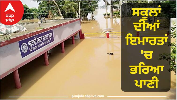 Jalandhar News Water filled in school buildings, education of children is affected Jalandhar News: ਸਕੂਲਾਂ ਦੀਆਂ ਇਮਾਰਤਾਂ 'ਚ ਭਰਿਆ ਪਾਣੀ, ਬੱਚਿਆਂ ਦੀ ਪੜ੍ਹਾਈ ਹੋ ਰਹੀ ਪ੍ਰਭਾਵਿਤ