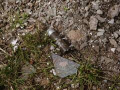 Ukraine Receives Cluster Munitions Sent By US, Pledges To Use Only For Deoccupation Of Territories