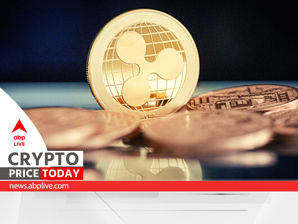 cryptocurrency price today in india July 14 check global market