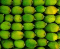 Kantola: ਸਿਹਤ ਲਈ ਇਹ ਹਰੀ ਸਬਜ਼ੀ ਕਿਸੇ ਖਜ਼ਾਨਾ ਤੋਂ ਘੱਟ ਨਹੀਂ...ਇਸ ਦੇ ਸੇਵਨ ਨਾਲ ਦੂਰ ਹੁੰਦੀਆਂ ਕਈ ਬਿਮਾਰੀਆਂ