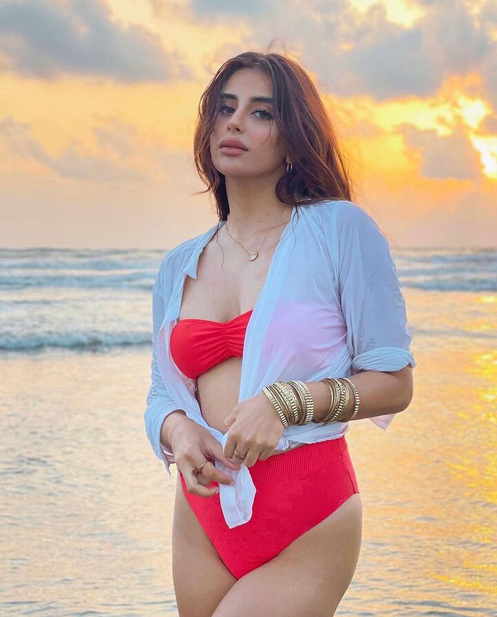હાલમાં અભિનેત્રીનો રેડ બિકિનીમાં હોટ લૂક સોશિયલ મીડિયામાં વાયરલ થયો છે.