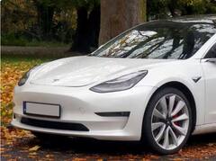 Tesla Owner in India: Tesla ਦੇ ਭਾਰਤ ਆਉਣ ਤੋਂ ਪਹਿਲਾਂ ਹੀ ਇਹ ਚਾਰ ਲੋਕ ਕਰਦੇ ਨੇ ਇਸ ਦੀ ਸਵਾਰੀ, ਵੇਖੋ ਤਸਵੀਰਾਂ