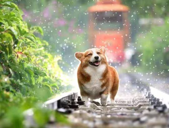 ਇਸ ਪਿੰਡ ਵਿੱਚ ਪ੍ਰਾਚੀਨ ਅਤੇ ਆਧੁਨਿਕ ਆਰਕੀਟੈਕਚਰ ਦਾ ਸੰਗਮ ਹੈ ਜੋ ਪੇਂਡੂ ਅਤੇ ਸ਼ਹਿਰੀ ਵਿਸ਼ੇਸ਼ਤਾਵਾਂ ਦਾ ਸੁਮੇਲ ਹੈ। ਇਸ ਲਈ ਇਸਨੂੰ ਅਲ-ਬੋਹਰਾ ਜਾਂ ਅਲ-ਮੁਕਰਮਾ ਪਿੰਡ ਦੇ ਰੂਪ ਵਿੱਚ ਵੀ ਜਾਣਿਆ ਜਾਂਦਾ ਹੈ। ਇਸ ਨੂੰ ਯਮਨੀ ਭਾਈਚਾਰੇ ਦੇ ਲੋਕਾਂ ਨੇ ਆਪਣੇ ਨਿਵਾਸ ਸਥਾਨ ਵਜੋਂ ਚੁਣਿਆ ਸੀ। ਯਮਨੀ ਭਾਈਚਾਰੇ ਦੇ ਲੋਕ ਮੁੰਬਈ ਵਿਚ ਰਹਿੰਦੇ ਮੁਹੰਮਦ ਬੁਰਹਾਨੁਦੀਨ ਦੀ ਅਗਵਾਈ ਵਿਚ ਇਸਮਾਈਲੀ (ਮੁਸਲਿਮ) ਭਾਈਚਾਰੇ ਤੋਂ ਆਏ ਸਨ। 2014 ਵਿੱਚ ਆਪਣੀ ਮੌਤ ਤੱਕ ਉਹ ਹਰ ਤਿੰਨ ਸਾਲ ਬਾਅਦ ਇਸ ਪਿੰਡ ਦਾ ਦੌਰਾ ਕਰਦੇ ਸੀ।