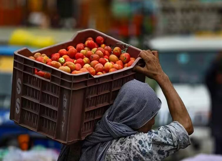 Latur Tomato Farmer will become millionaires from tomatoes increase in the price of tomatoes gave major benefit Latur Tomato Farmer: लातूरचे शेतकरी बंधू टोमॅटोतून बनणार कोट्यधीश! दर वाढल्याचा जबरदस्त फायदा