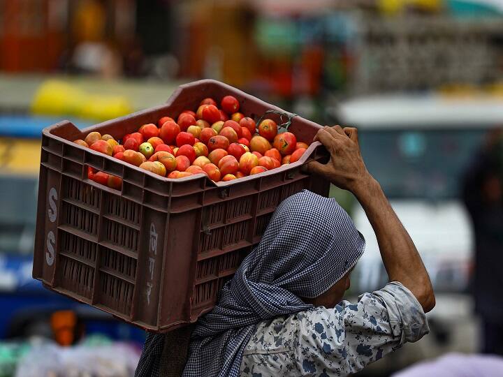 Pune Tomato News 20 crates of tomatoes from pune farmer shirur were stolen Pune Tomato News : काय सांगता? पुण्यातून चक्क टोमॅटोची चोरी; शेतकऱ्यासोबत नेमकं काय घडलं?