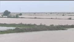 Gujarat Rain: เชฎเชนเซเชตเชพ เชชเชเชฅเชเชฎเชพเช 2 เชเชฒเชพเชเชฎเชพเช 2 เชเชเช เชตเชฐเชธเชพเชฆ, เชเซเชคเชฐเซ เชฌเชจเซเชฏเชพ เชคเชณเชพเชต