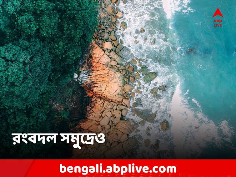 Pollution lead Climate change altering colour of Sea, Weather Change caused ecosystem shift Climate Change: রংবদল সমুদ্রেও! পিছনে কার হাত? গবেষণায় চমকে দেওয়া তথ্য