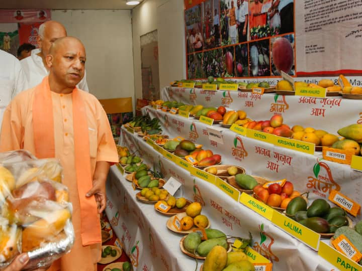 Lucknow Mango Festival 2023: यूपी में आम के उत्पादन और आम उत्पादकों को प्रोत्साहित करने और आम के निर्यात को बढ़ावा देने के लिए अवध शिल्प ग्राम में आम महोत्सव का आयोजन किया गया.