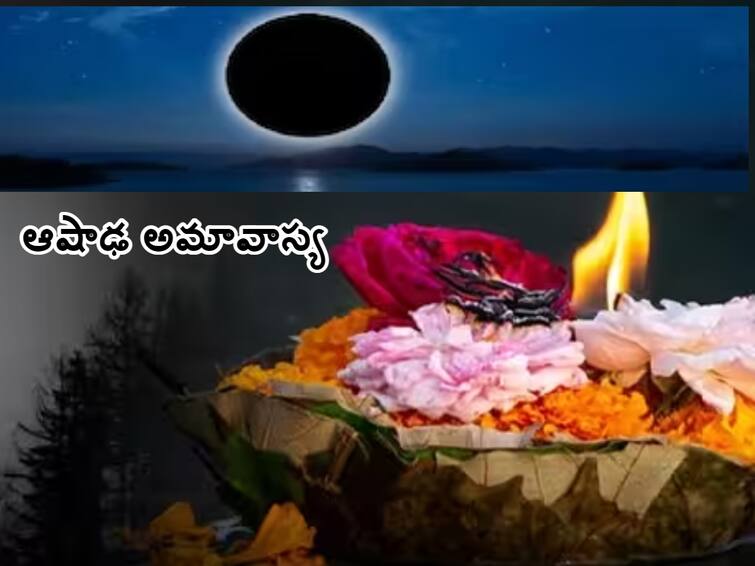 ashadha amavasya 2023 date and time, puja vidhi, importance and rituals, know in telugu Ashadha Amavasya 2023: ఆషాఢ అమావాస్య 2023 శుభ ముహూర్తం, ఆరాధన విధానం, ప్రాముఖ్యత తెలుసా!