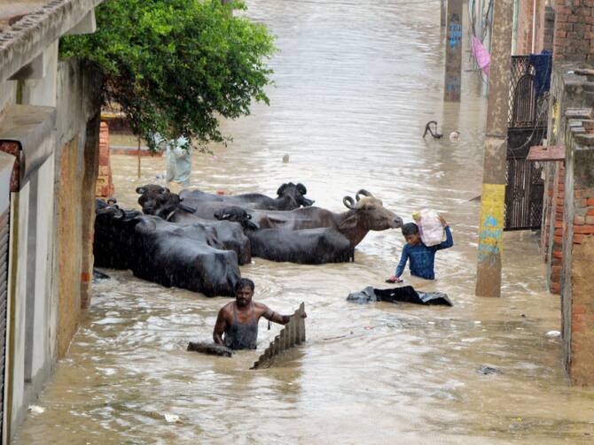 Yamuna's Water Level Rising Continuously In Mathura, Reaches Above The  Danger Mark | UP News: मथुरा में लगातार बढ़ रहा यमुना का जलस्तर, खतरे के  निशान से ऊपर पहुंची, गांव से संपर्क