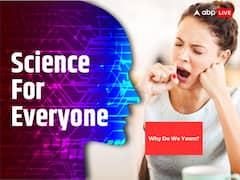 Why Do We Yawn? It Does Not Indicate A Need For Sleep, Scientists Say