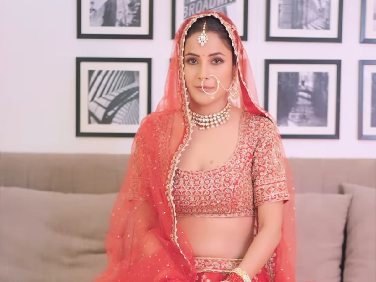 Light Pink Lehenga Set. – Shyam Narayan Prasad