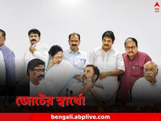 Opposition Alliance: বৃহত্তর স্বার্থেই সুর নরম! সংঘাত কাটিয়ে AAP-কে সমর্থনের ইঙ্গিত কংগ্রেসের