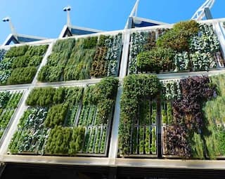 Indoor Vertical Farming: ਕੀ ਹੈ ਅੰਦਰੂਨੀ ਲੰਬਕਾਰੀ ਖੇਤੀ, ਜਾਣੋ ਇਸ ਦੇ ਫਾਇਦੇ ਅਤੇ ਨੁਕਸਾਨ