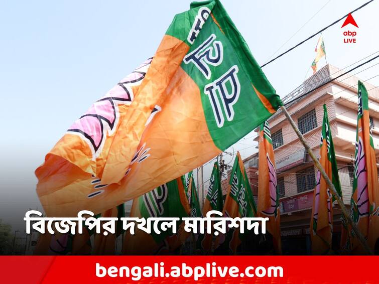 Panchayat Election Result, BJP win Marishda Panchayat in Purba Medinipur, TMC Lost Panchayat Election Result: তৃণমূলের হাতছাড়া মারিশদা! জয় অভিষেকের সরিয়ে দেওয়া প্রাক্তন প্রধানের, পঞ্চায়েত বিজেপির