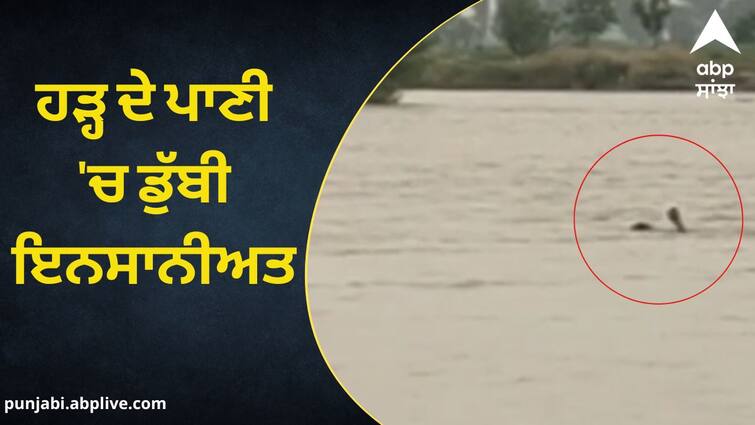 youth was drowning in water  people standing on the bank were making videos  death occurred ਹੜ੍ਹ ਦੇ ਪਾਣੀ 'ਚ ਡੁੱਬੀ ਇਨਸਾਨੀਅਤ, ਪਾਣੀ 'ਚ ਰੁੜ੍ਹ ਰਿਹਾ ਸੀ ਨੌਜਵਾਨ, ਕੰਢੇ 'ਤੇ ਖੜ੍ਹੇ ਲੋਕ ਬਣਾਉਂਦੇ ਰਹੇ ਵੀਡੀਓ, ਹੋਈ ਮੌਤ