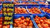 Tomato Prices: ਟਮਾਟਰ ਦੇ ਭਾਅ ਨੇ ਕਰ ਦਿੱਤਾ ਕਮਾਲ, ਇੱਕ ਮਹੀਨੇ 'ਚ ਕਰੋੜਪਤੀ ਬਣੇ ਭਾਰਤ ਦੇ ਇਹ ਕਿਸਾਨ