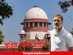 সাংসদপদ মিলবে ফেরত! মোদি-পদবী মামলায় এবার সুপ্রিম কোর্টে রাহুল