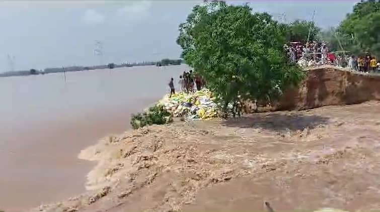 breaches in Mansa district, Ghaggar inundates villages  ਘੱਗਰ ਦੇ ਪਾਣੀ ਨੇ ਸਵੇਰੇ 5 ਵਜੇ ਪ੍ਰਸ਼ਾਸਨ ਨੂੰ ਪਾ ਦਿੱਤੀਆਂ ਭਾਜੜਾ, 48 ਪਿੰਡ ਆ ਗਏ ਲਪੇਟ 'ਚ