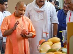 Mango Festival: लखनऊ में आम महोत्सव का उद्घाटन, तस्वीरों में देखें 725 से ज्यादा आमों की वैरायटी