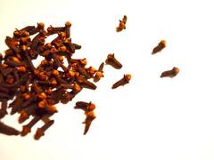 इस मसाले की खेती करने वाले किसान बन गए राजा, जानिए इसके उत्पादन की उन्नत तकनीक