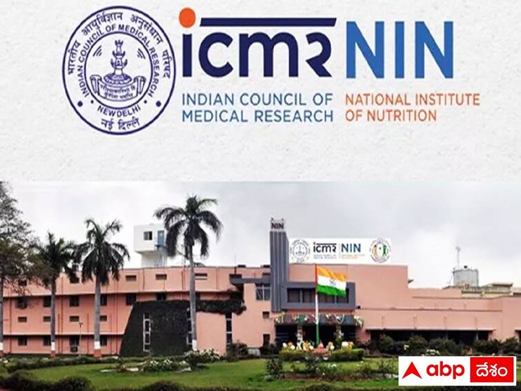 ICMR - National Institute of Nutrition has released notification for the recruitment of various posts, details here ICMR NIN: నేషనల్‌ ఇన్‌స్టిట్యూట్‌ ఆఫ్‌ న్యూట్రిషన్‌‌లో 116 ఖాళీలు, వివరాలు ఇలా!